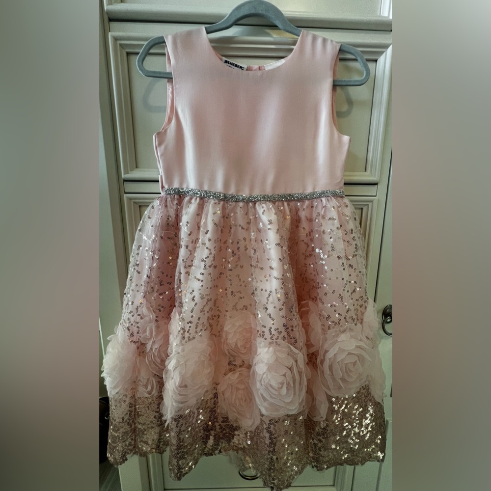 Bluberi girls fancy dress size 6x